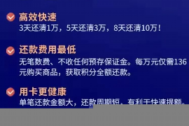 平顶山对付老赖：刘小姐被老赖拖欠货款